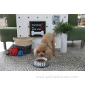 pet dog bowl cute cartoon pet eating bowl